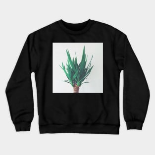 Yucca Crewneck Sweatshirt
